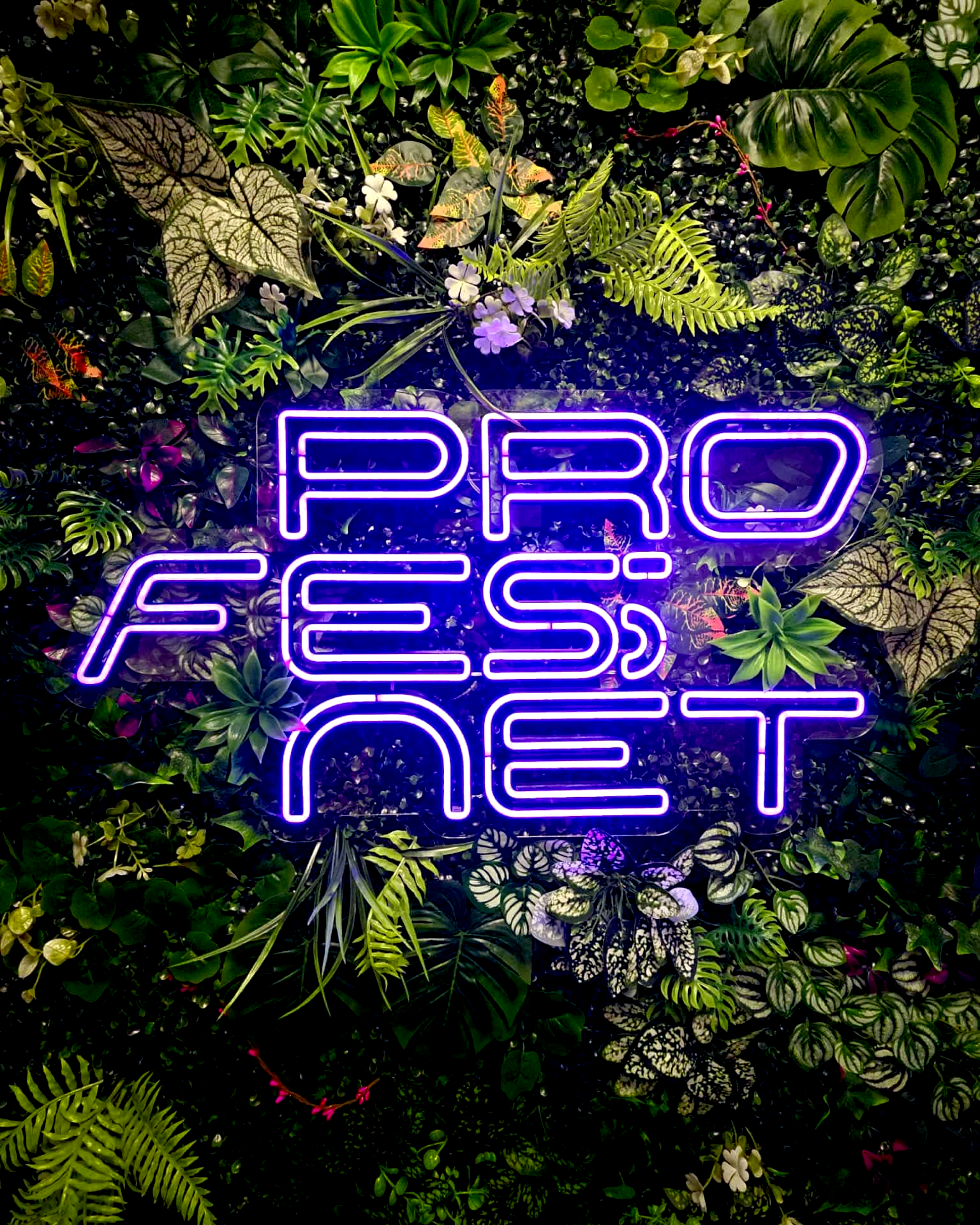 PRO FESS NET